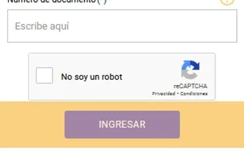 Consulta el estado de pago del IFE&Bono Covid