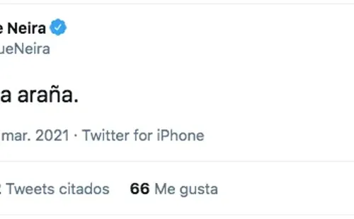 El relato de Quique Neira sobre la picadura de una araña de rincón.(1)