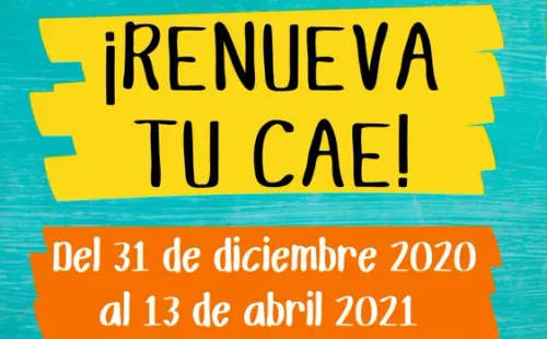 Renueva tu CAE: ingresa.cl