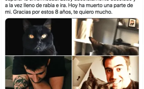 AuronPlay confirma la muerte de su mascota, el famoso Don Gato.(1)