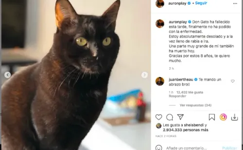 AuronPlay confirma la muerte de su mascota, el famoso Don Gato.(2)