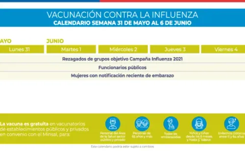 Calendario Vacunación