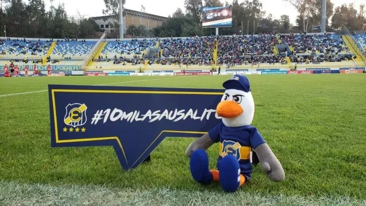 Gaviota de Everton de Viña del Mar