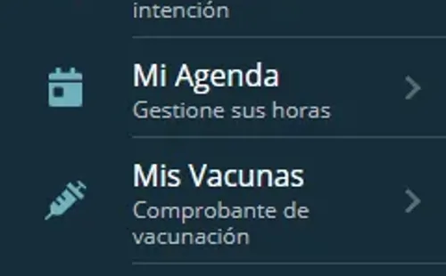 Pase de Movilidad