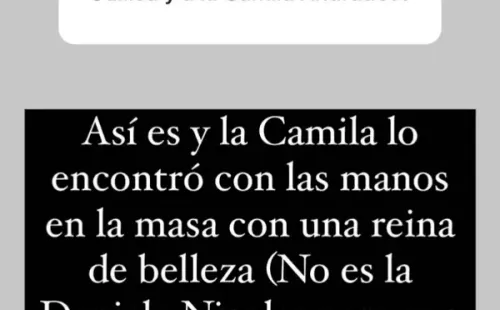 La historia con la que se supo todo sobre Camila Andrade e Ignacio Casale.