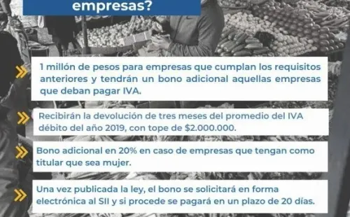 Bono Pymes Montos