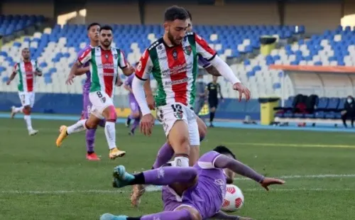 Palestino