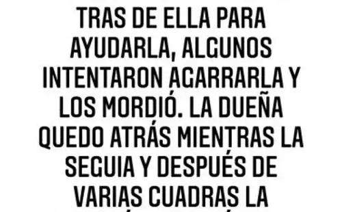Las historias de Nano Calderon relatando su accidente, por salvar a la perrita que escapó de su dueña.(1)