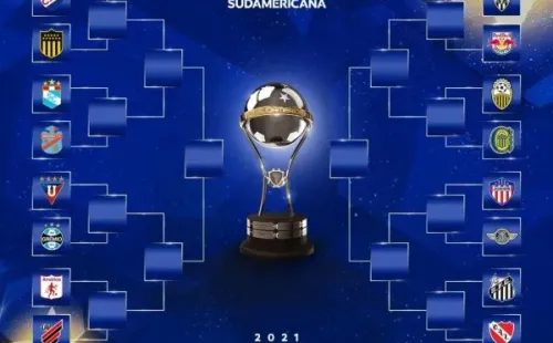 La otra mitad de la gloria. Imagen: @sudamericana