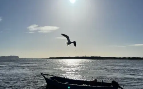 Las postales de Karim Butte en Chiloé.(3)