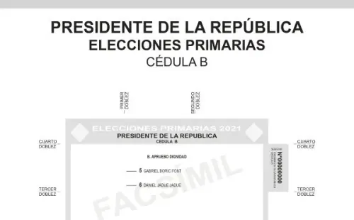 Papeleta Apruebo Dignidad