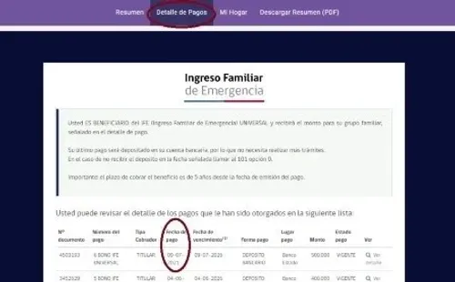 Así debe aparecer el detalle de su pago. Foto: Sitio web IFE.