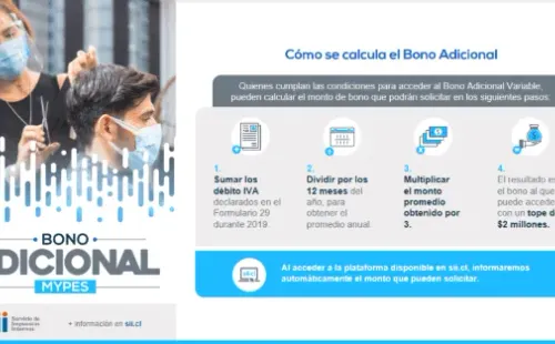 Detalles del bono. (Foto: SII).