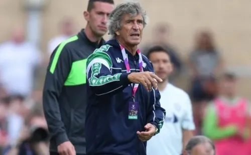 Pellegrini