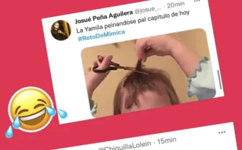 Algunas de las publicaciones que le causaron gracia a Yamila Reyna y las compartió en sus historias de Instagram.