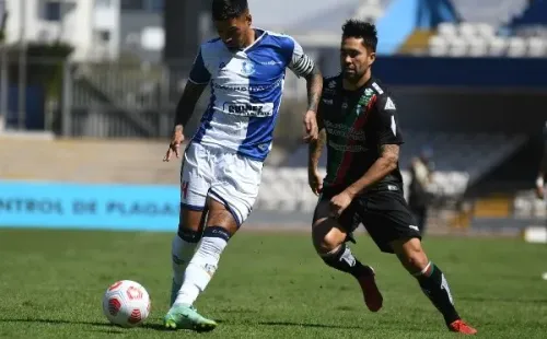 Los Pumas hundieron más aún a Palestino en la tabla.