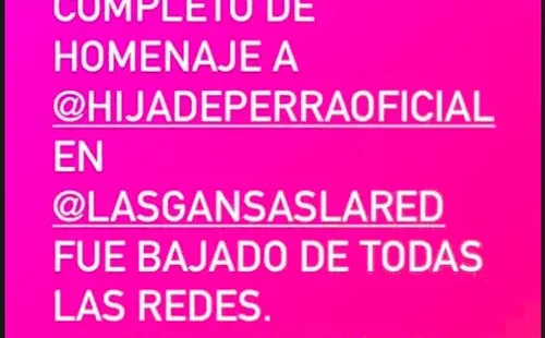 Las publicaciones de la performe Anastasia María Benavente sobre la actuación que hizo en Las Gansas y que luego fue denunciada ante el CNTV.(2)
