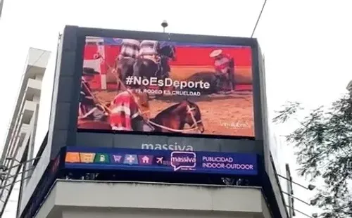 Rodeo