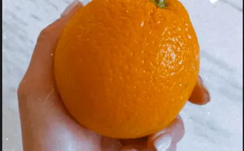 Mayte Rodríguez agradece apoyo, revela su “antojo más potente hasta ahora” y muestra primera imagen de su bebé.(2)