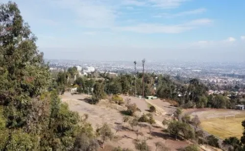 Parque puede volver a transitarse tras la restricción sanitaria. (Agencia Uno).