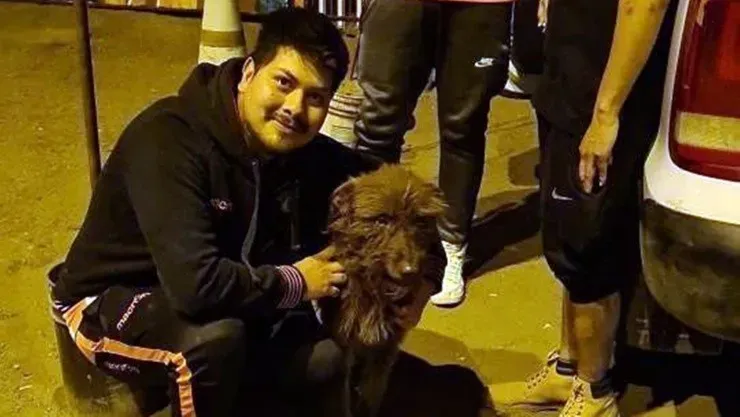 Perrito de Cobreloa Primera B Campeonato Chileno Perro mascota