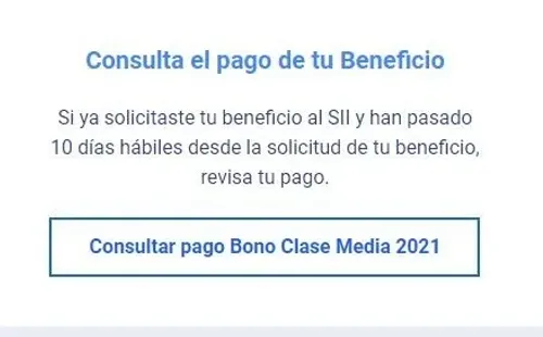 Aquí debes ingresar una vez estés en el sitio de la Tesorería General de la República. (Foto: TGR).