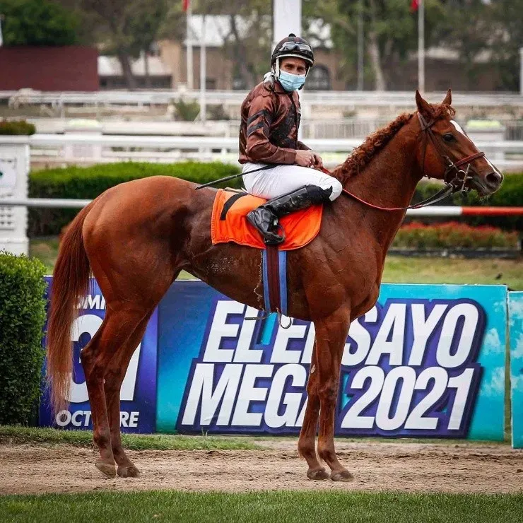 (Foto: Club Hípico Santiago)
