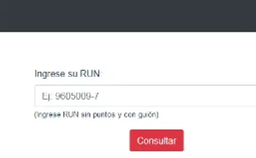 Consulta de Candidatos: consulta-candidato.servel.cl
