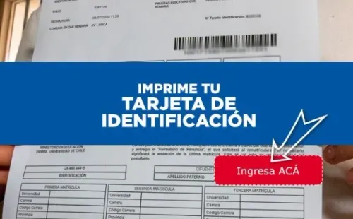 Tarjeta de Identificación