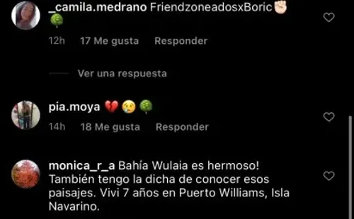 Usuarios le piden explicaciones a Ballarin por romperle el corazón a Boric.(2)