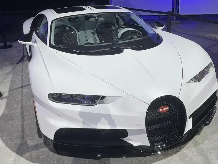 Bad Bunny saca a relucir sus gaviotas del Festival de Viña en especial velada.(4)