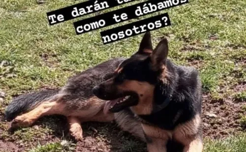 Familia de Jean Philippe Cretton vive difíciles momentos tras perder a sus mascotas.(1)
