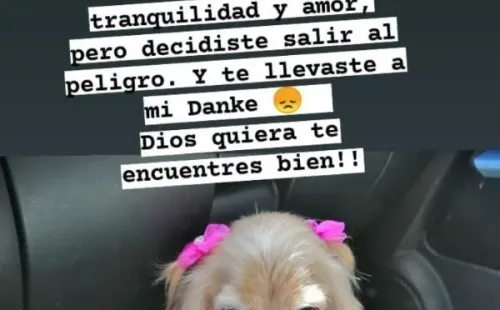 Familia de Jean Philippe Cretton vive difíciles momentos tras perder a sus mascotas.(2)