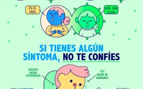 Infografía Pictoline en instagram.