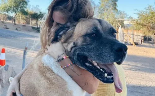 Dani Castro entrega versión sobre ataque de su perro a mujer.(2)