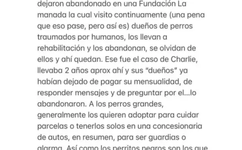 Dani Castro entrega versión sobre ataque de su perro a mujer.(5)