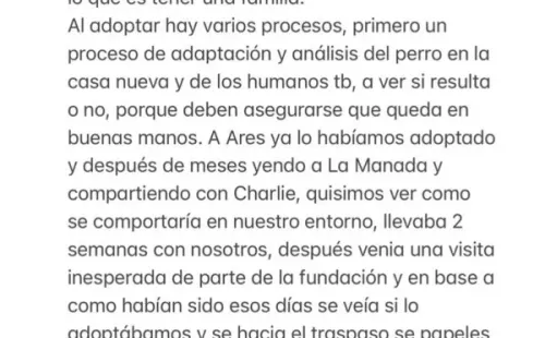 Dani Castro entrega versión sobre ataque de su perro a mujer.(6)