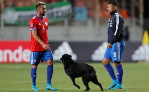 El ex jugador de la selección chilena asegura que los referentes se quedaron