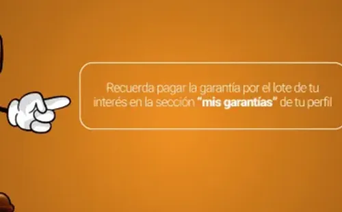 Aduana: subastaaduanera.cl