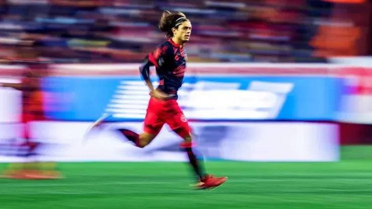 Xoloizcuintles joaquin cristian montecinos chilenos por el mundo