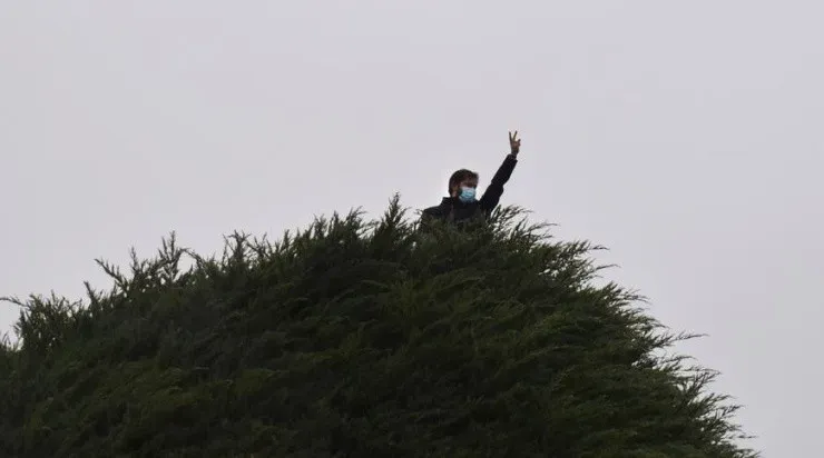 Boric en el árbol durante su campaña presidencial