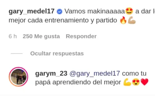 Gary Medel
