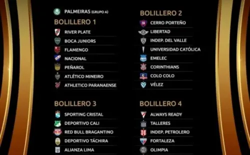 Imagen:@libertadores