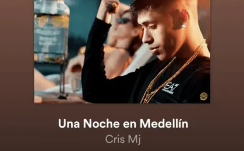 ¿Qué pasó con Una Noche en Medellín remix?(4)