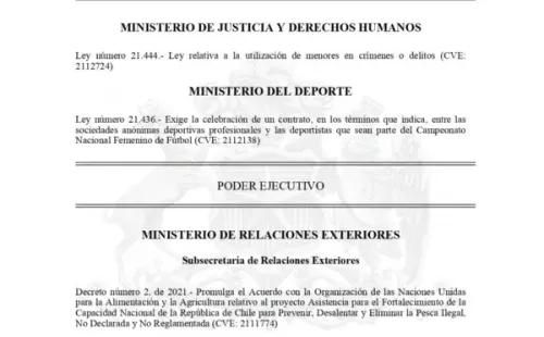 La ley Nº21.436 fue promulgada este fin de semana. (Foto: Diario Oficial)