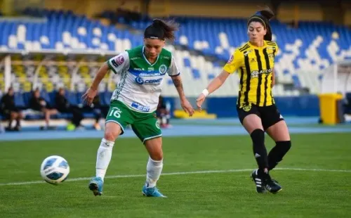 (Foto: Comunicaciones Fernández Vial)