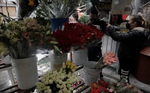 Flores