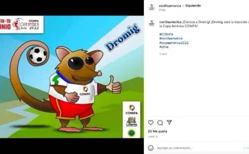 La mascota oficial de la Copa América Conifa 2022.
