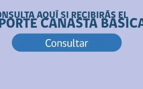 Canasta básica