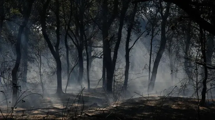 Dartford fue una de las ciudades inglesas afectada por los incendios forestales. (GETTY IMAGES)